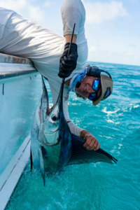 Florida Keys Charter Fishing Seasons Marathon Islamorada Key West