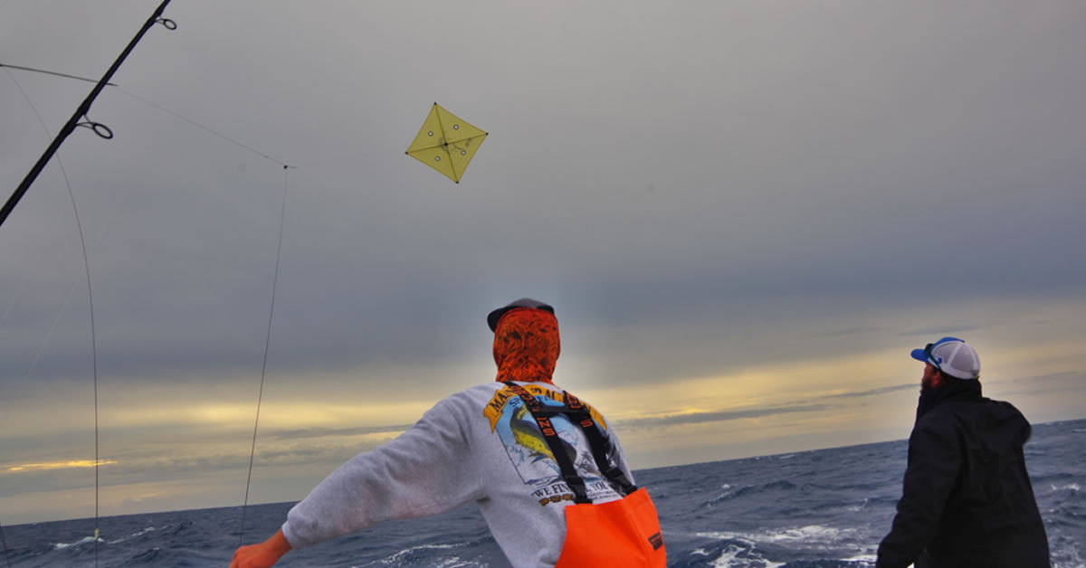 Main attraction makes setting up for some Kite Fishing