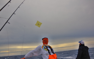 Kite Fishing
