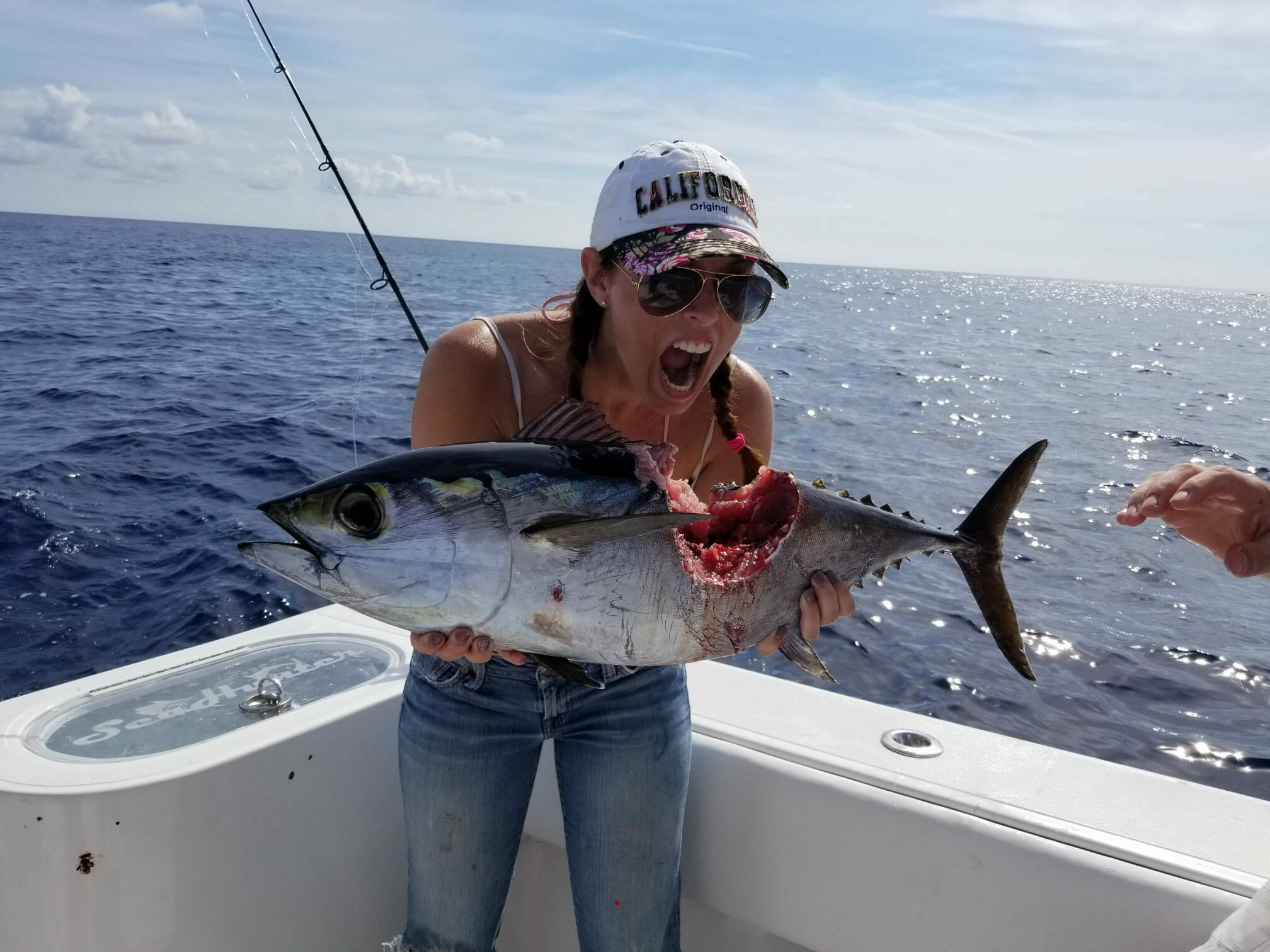 Sharkbite Tuna Florida Keys