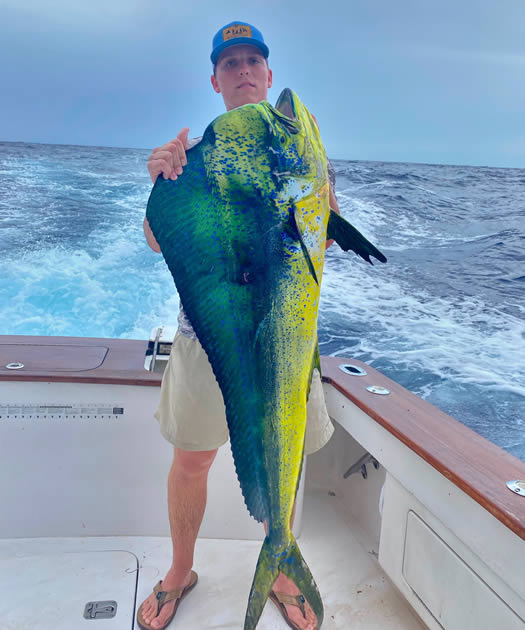 Essential Guide To Catching Mahi Mahi: Best Lures And Techniques 