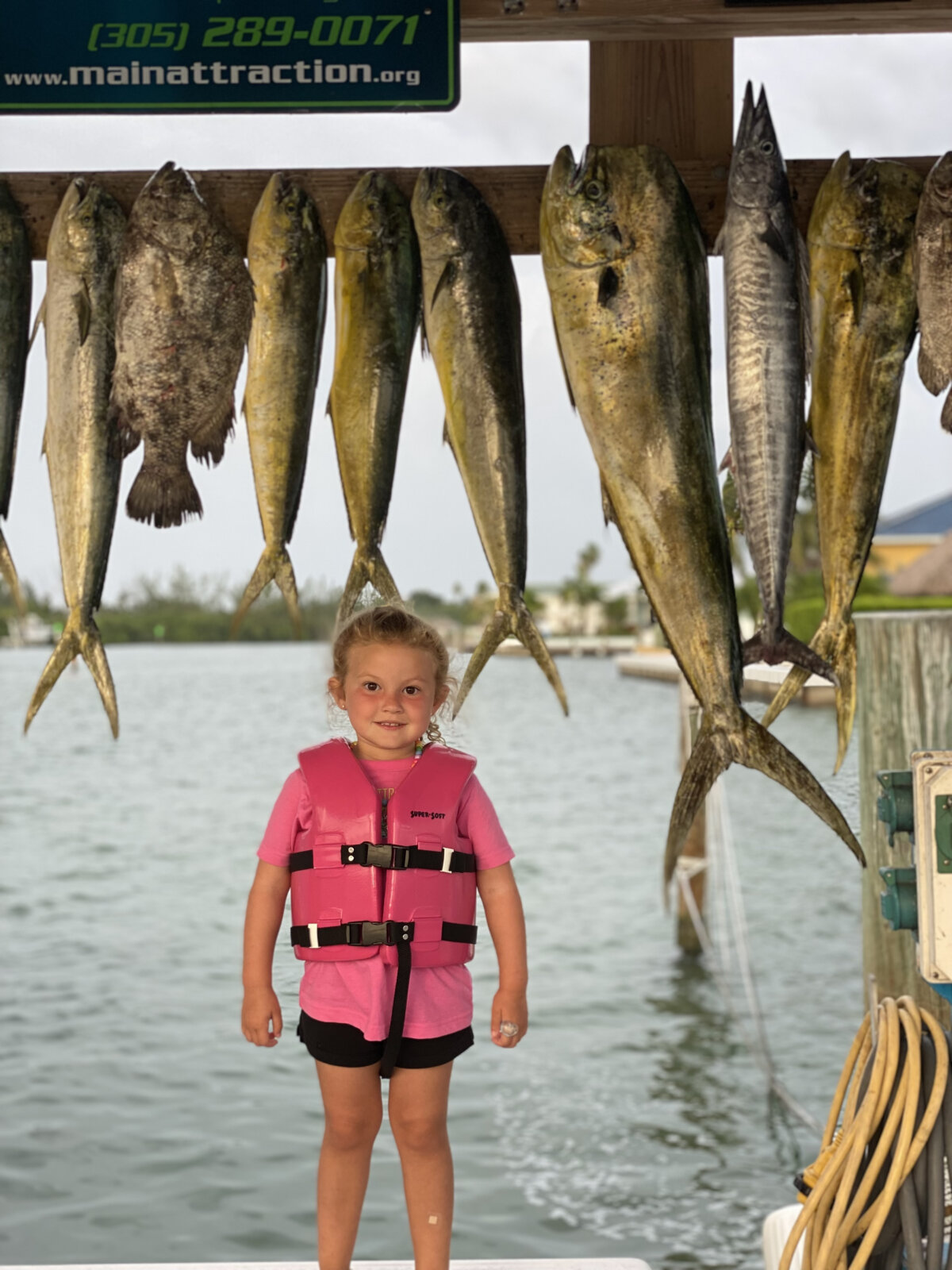 Summertime Offshore Fishing