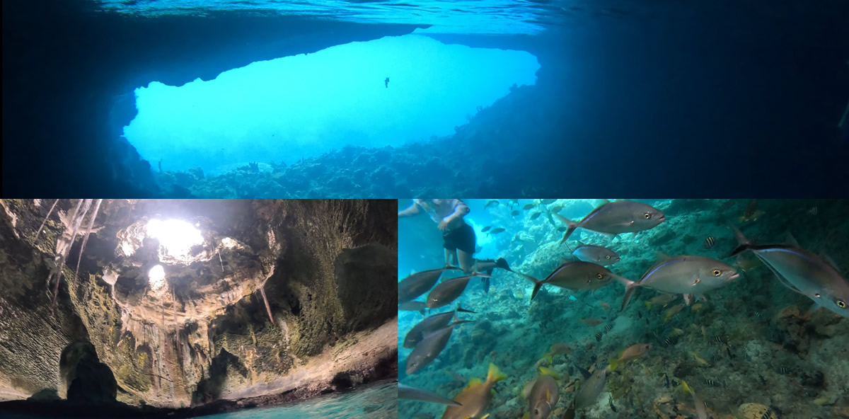 Bahamas Underwater Cavern