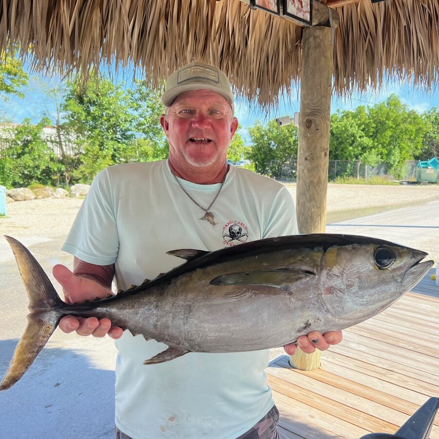 Blackfin Tuna